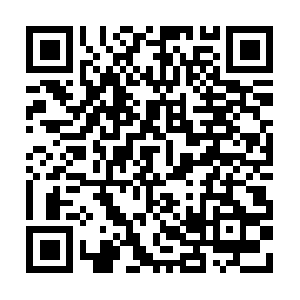 Millvalleychildcustodylitigation.com QR code