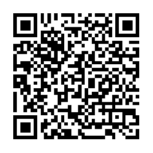 Miyagiscottishfoldsandbritishshorthairs.com QR code