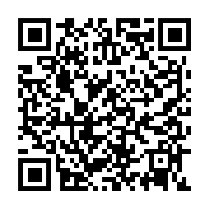 Mlkcoalitionforjobsjusticeandpeace.info QR code