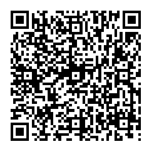 Mona-lisa-history-conservation-theft-vandalism-cleaning-touchup.com QR code