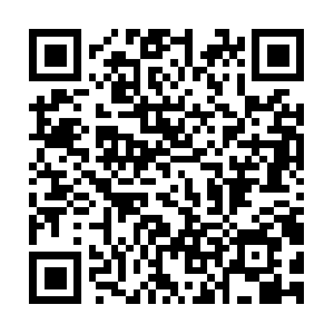 Morris-shuttleandinmateservices.com QR code