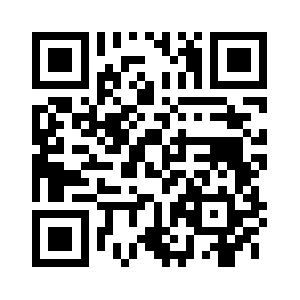 Museumaudits.com QR code