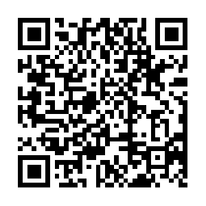 My-restaurant-api.techvisionjoy.com QR code