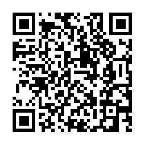 Myip.opendns.com.vancouver.sigmadzn.com QR code