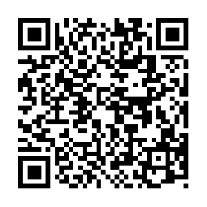 Mypizza-assets-production.imgix.net QR code