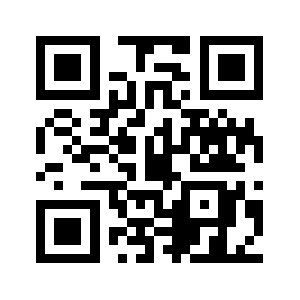 N335dt.biz QR code