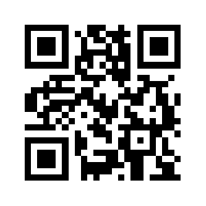 N3n9udt8q.biz QR code