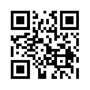 N49tmc.biz QR code