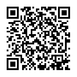 Na61-na62.wagbridge.alibaba.taobao.com QR code