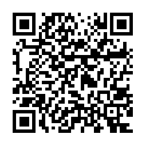 Nakedemperorwithpainanddisability.org QR code