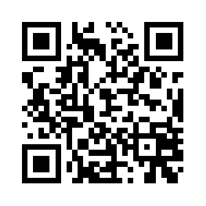 Namsoftbiz.info QR code