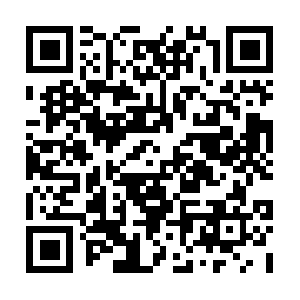 Nationalcoalitiontostopthegunban.us QR code