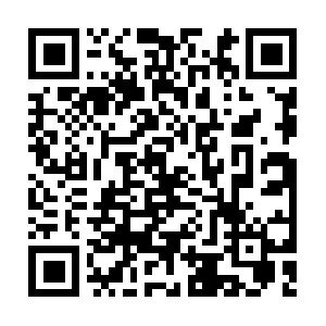 Nationalvehicleprotectionservices.mobi QR code