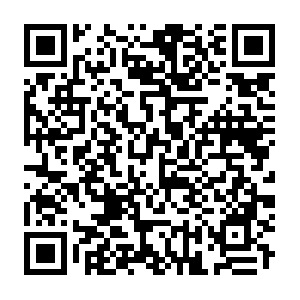 Naver.jp.getcacheddhcpresultsforcurrentconfig QR code