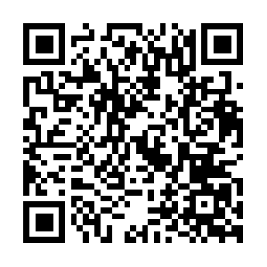 Negativepastpositivetomorrowbook.com QR code