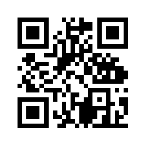 Neiyin.biz QR code