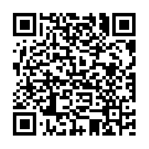 Nellstephensonnutritionandfitness.info QR code