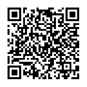 Nellstephensonnutritionandfitness.org QR code