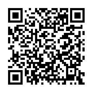 Nelsonandrollertdentistthornton.com QR code