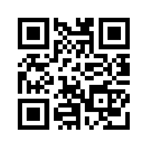 Nessling.fi QR code