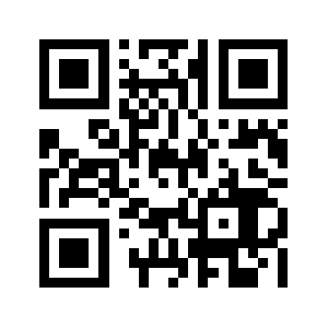 Net-focus.com QR code