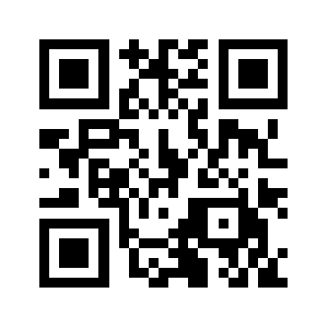 Netad.biz QR code