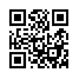 Netinsitu.net QR code