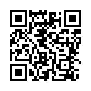 Netistihbarat.net QR code