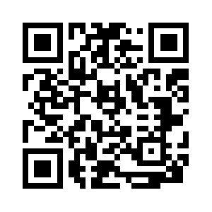 Netmaaslari.com QR code