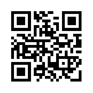 Netplace.in QR code
