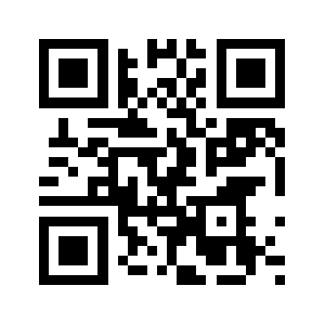 Netpr.pl QR code