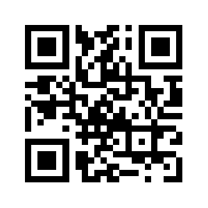 Netraction.net QR code