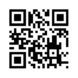 Netradyne.com QR code