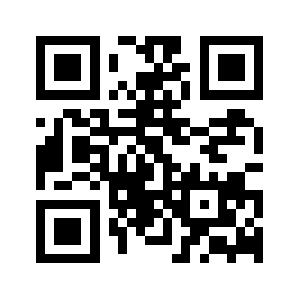 Netsecom.com QR code