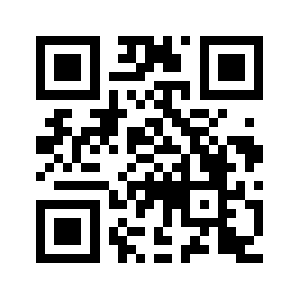 Netsecs.biz QR code