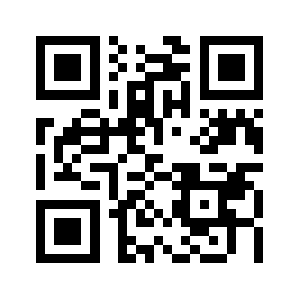 Netsolpk.com QR code