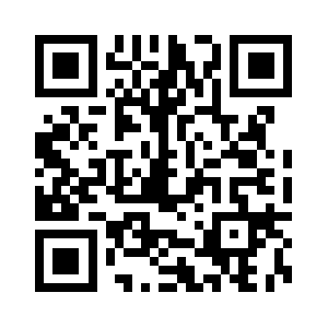 Netsystemsmx.com QR code