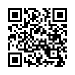 Nett-solutions.org QR code