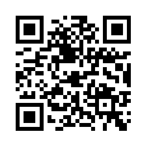 Netvelocity.net QR code