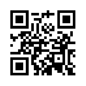 Netvideo.link QR code