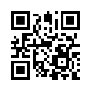 Netweek.biz QR code