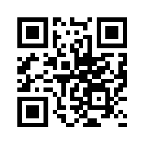 Network31.net QR code