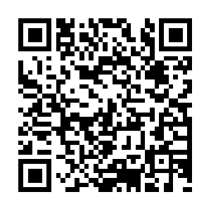 Networkkernaldisk0registryreaderrors.com QR code