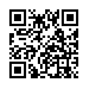 Networksupport101.com QR code