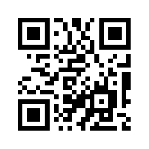 Netws.us QR code