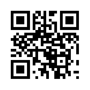 Netzeryear.net QR code