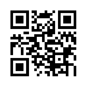 Netzglobal.biz QR code