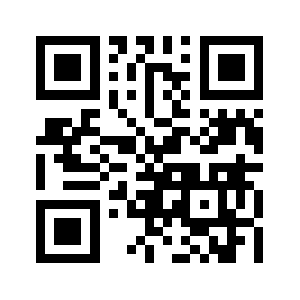 Netzingo.com QR code