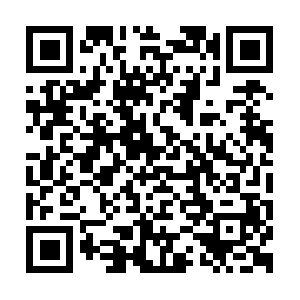 New-found-cog-nitiontostay-updated.info QR code