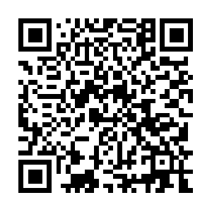 Newalphaservice-mieleprofessional.net QR code